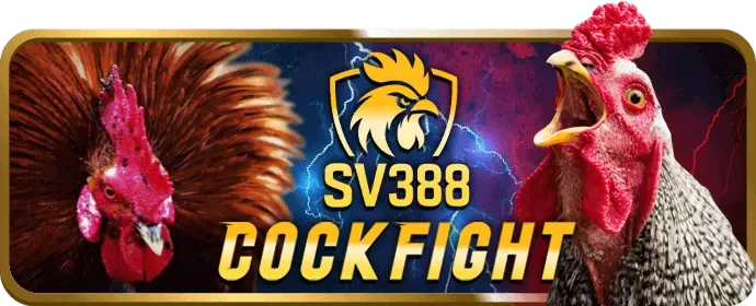 Cá cược bóng rổ okvip